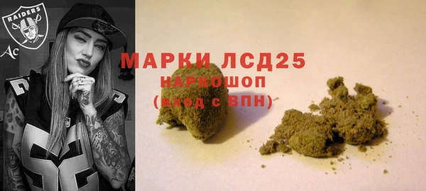 ГАЛЛЮЦИНОГЕННЫЕ ГРИБЫ Беломорск