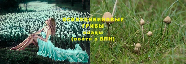 каннабис Белокуриха