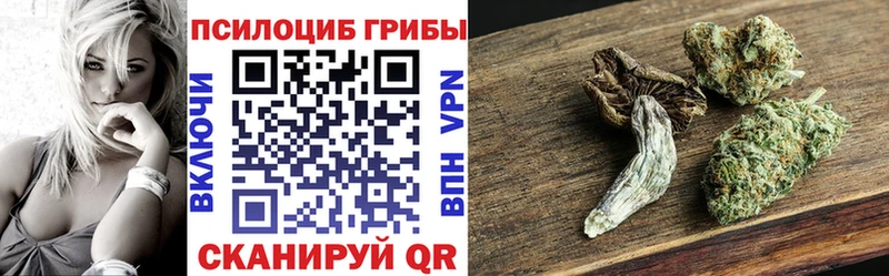 Галлюциногенные грибы мицелий  что такое наркотик  кракен маркетплейс  Луховицы 
