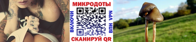 Галлюциногенные грибы GOLDEN TEACHER Луховицы